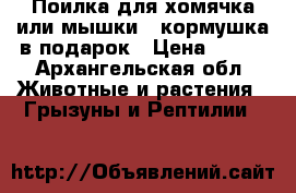 Поилка для хомячка или мышки   кормушка в подарок › Цена ­ 120 - Архангельская обл. Животные и растения » Грызуны и Рептилии   